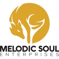 Melodic Soul Enterprises